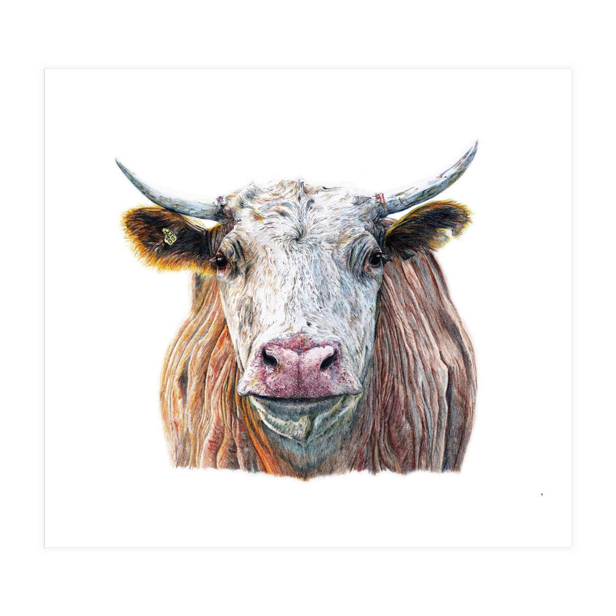 Cow No.1 (Print Only)