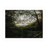 Tomales Bay (Print Only) thumbnail