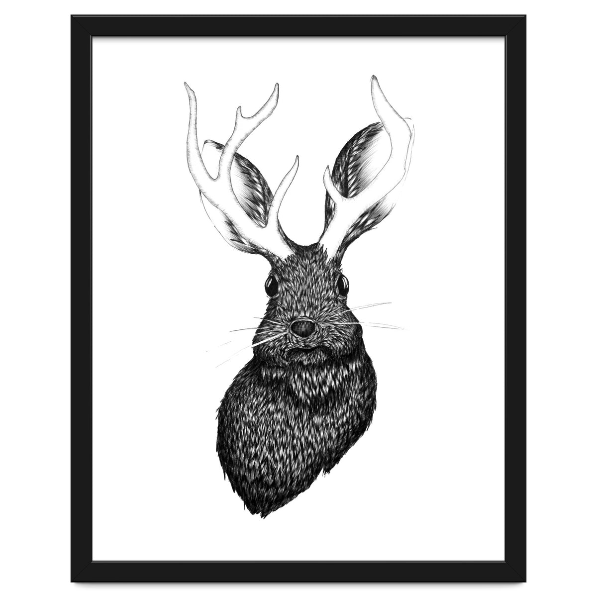 Jackalope