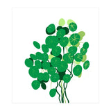 Pilea (Print Only) thumbnail
