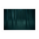 transience  (Print Only) thumbnail