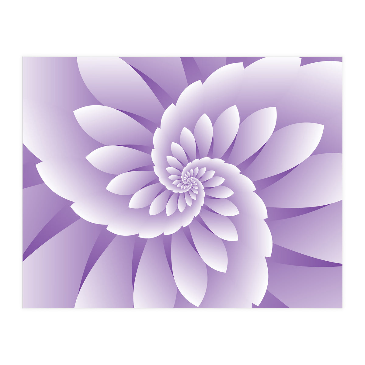Abstract Purple Floral  (Print Only)