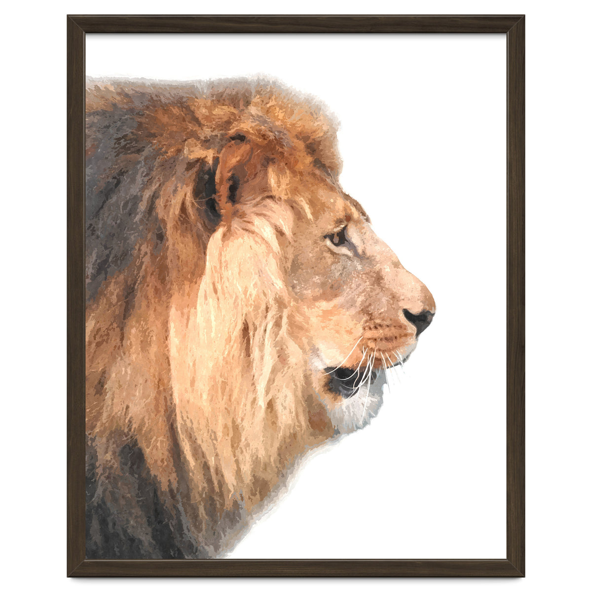 Lion Profile