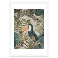 Jungle Toucan