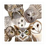 Owls (Print Only) thumbnail
