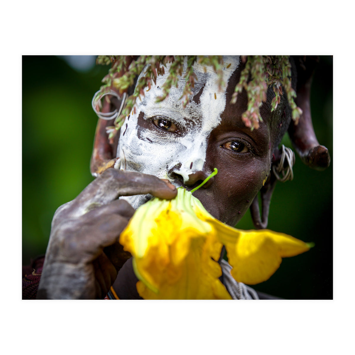 Sure flower (Print Only)