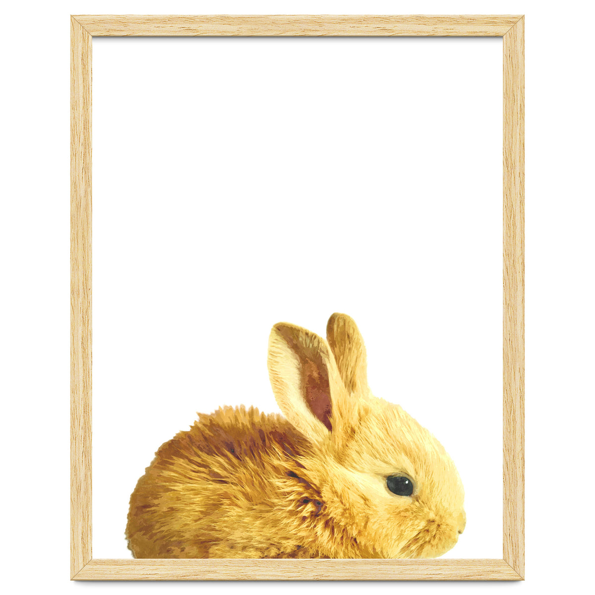 Bunny Portrait
