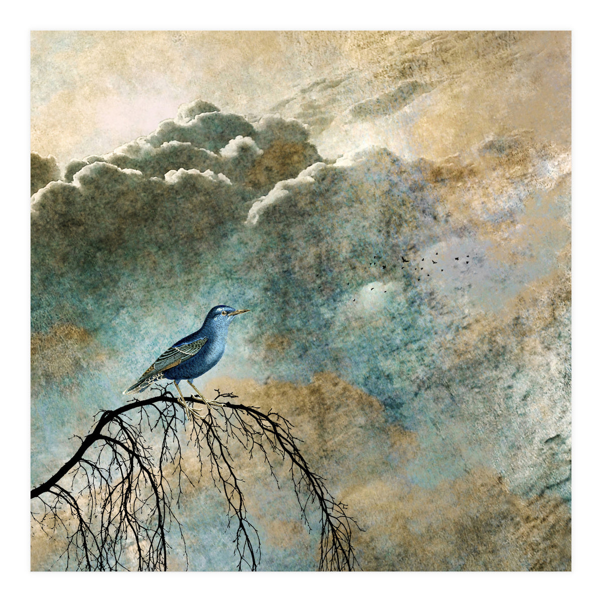 HEAVENLY BIRD IIa (Print Only)