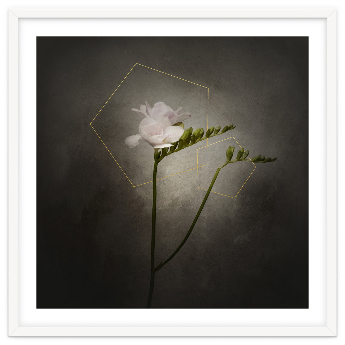 Graceful flower - Freesia | vintage style gold