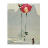 High (Print Only) thumbnail