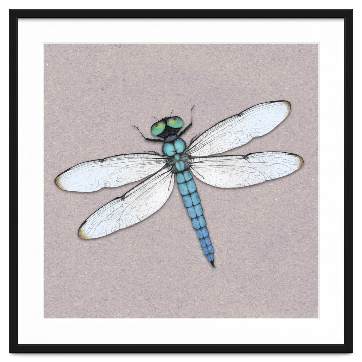 Blue dragonfly