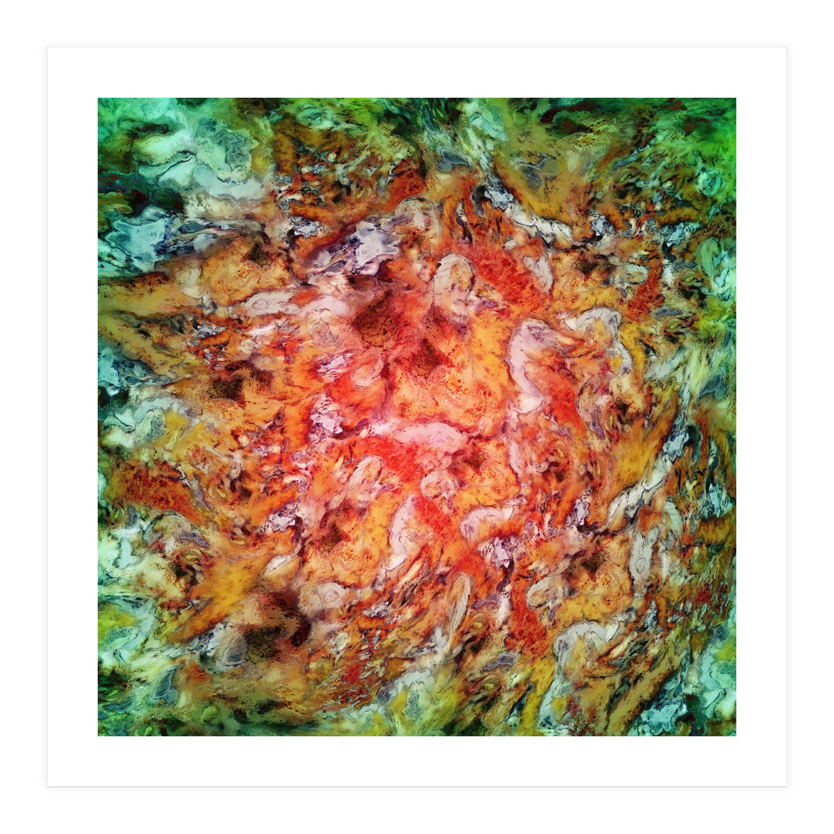 The Beautiful Evidence (Print Only)