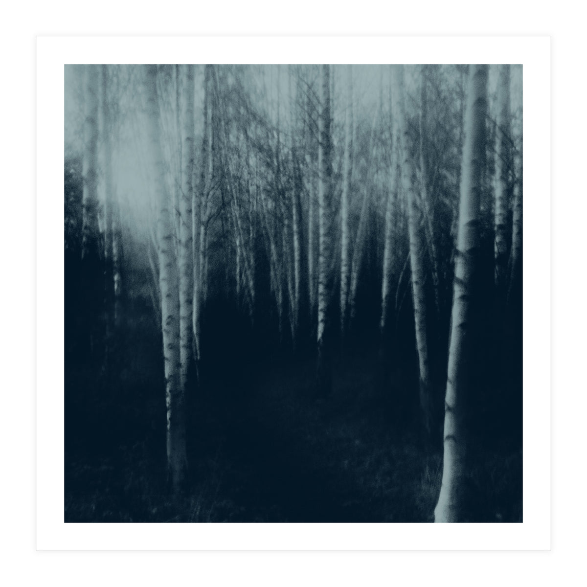 deep veins III (Print Only)