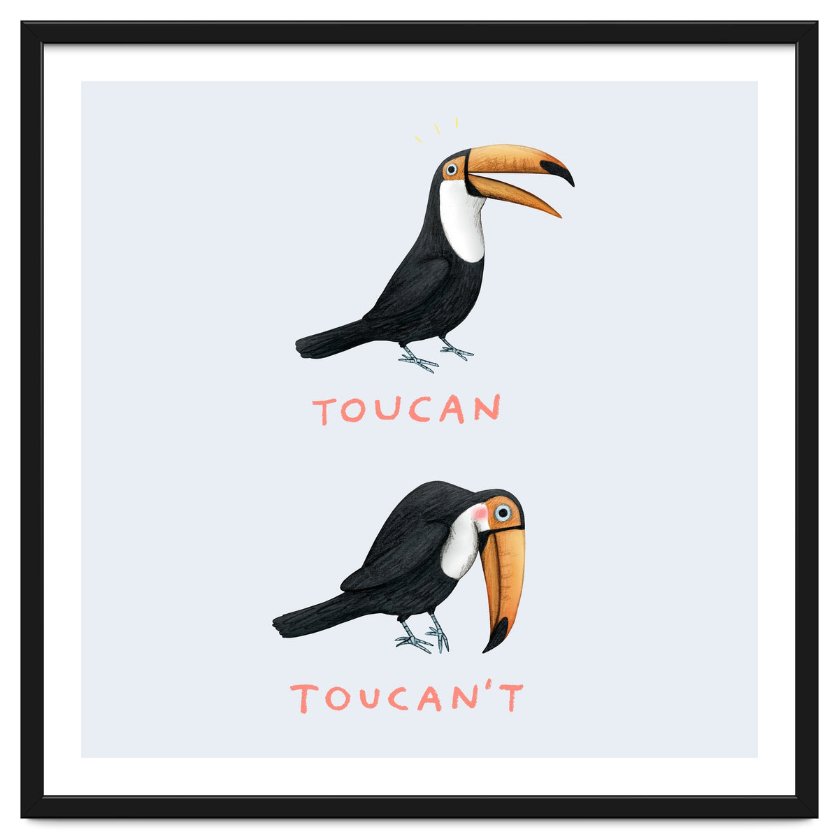 Toucan Toucan't