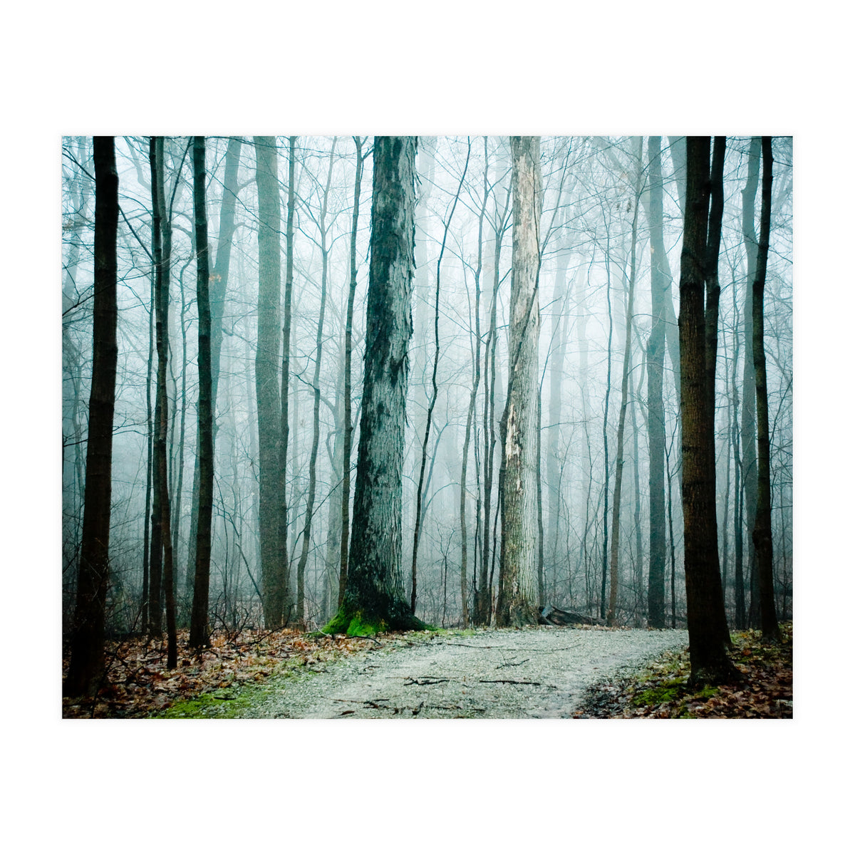 Gather Up Your Dreams (Print Only)