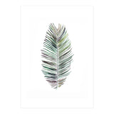 Botanical Illustration Cocos Palm (Print Only) thumbnail