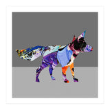 Crazy Ab Fox (Print Only) thumbnail