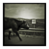 Struan Road (Print Only) thumbnail