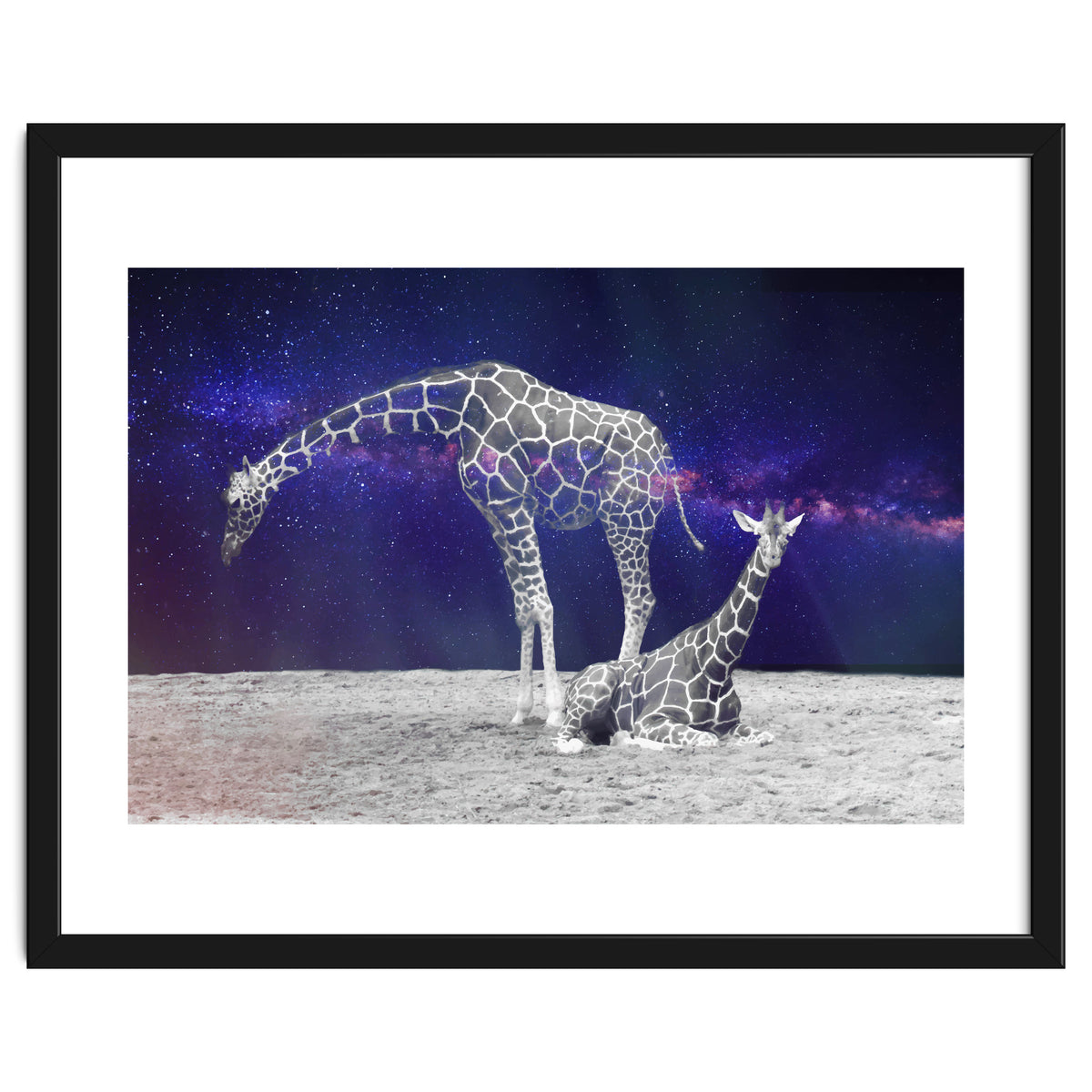 Giraffes on The Moon
