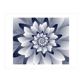 White Floral (Print Only) thumbnail
