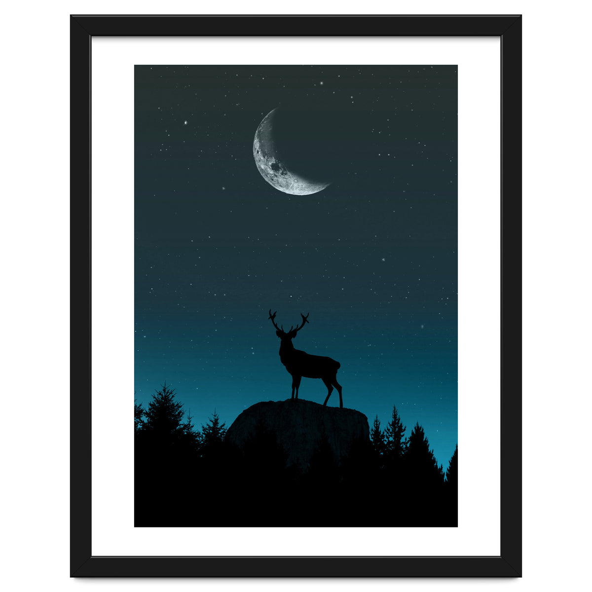 Wild Nature - Nocturne