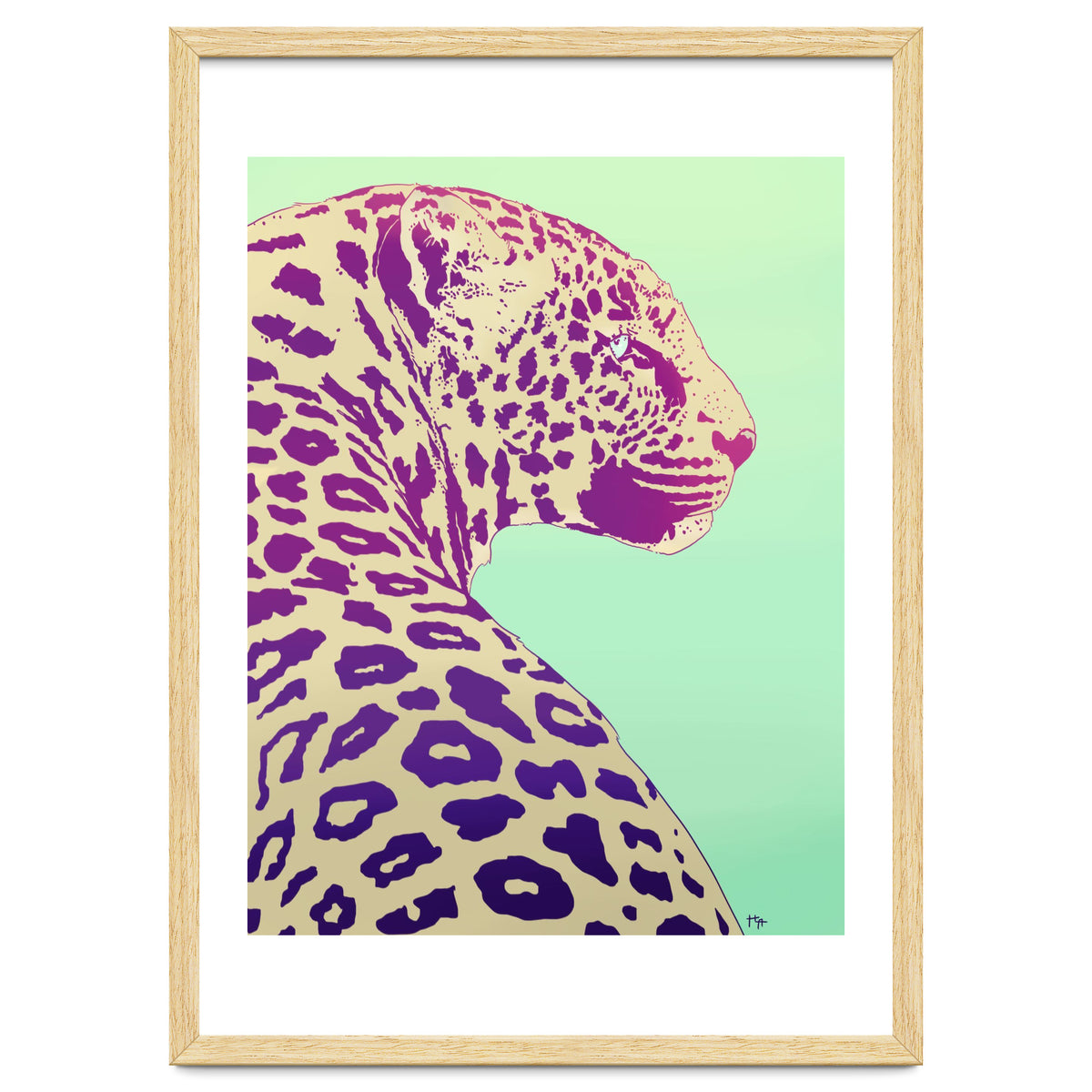 Leopard Under The Sun