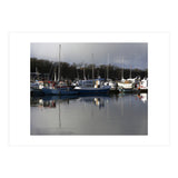 Fleet (Print Only) thumbnail