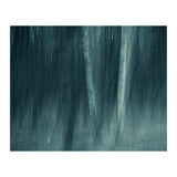 spell (Print Only) thumbnail