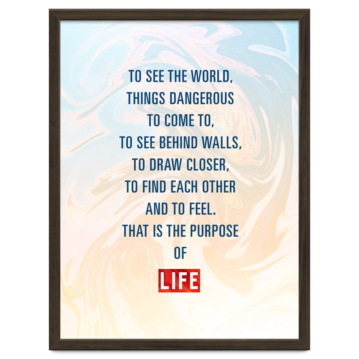 Secret Life of Walter Mitty