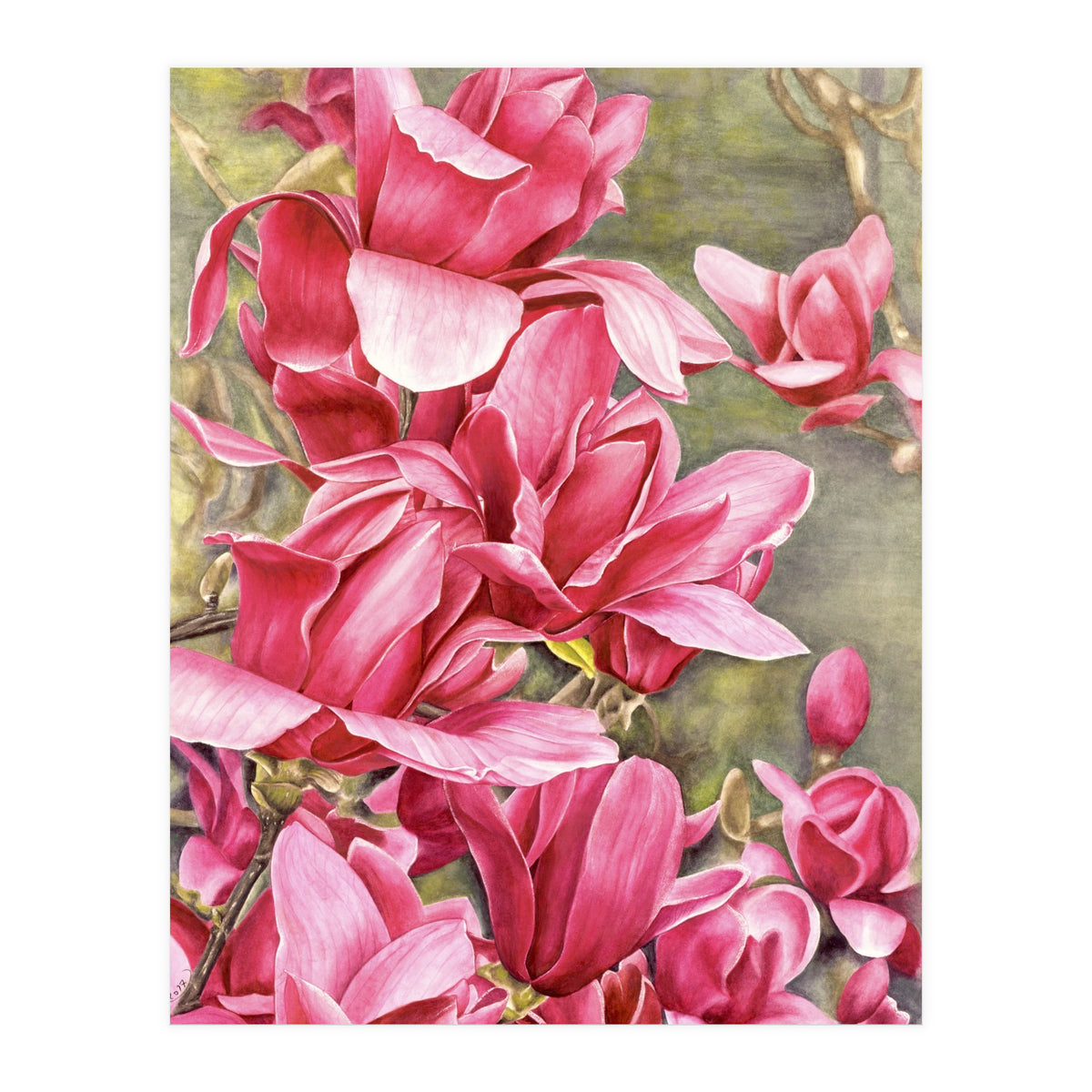 Magnolia 5 (Print Only)