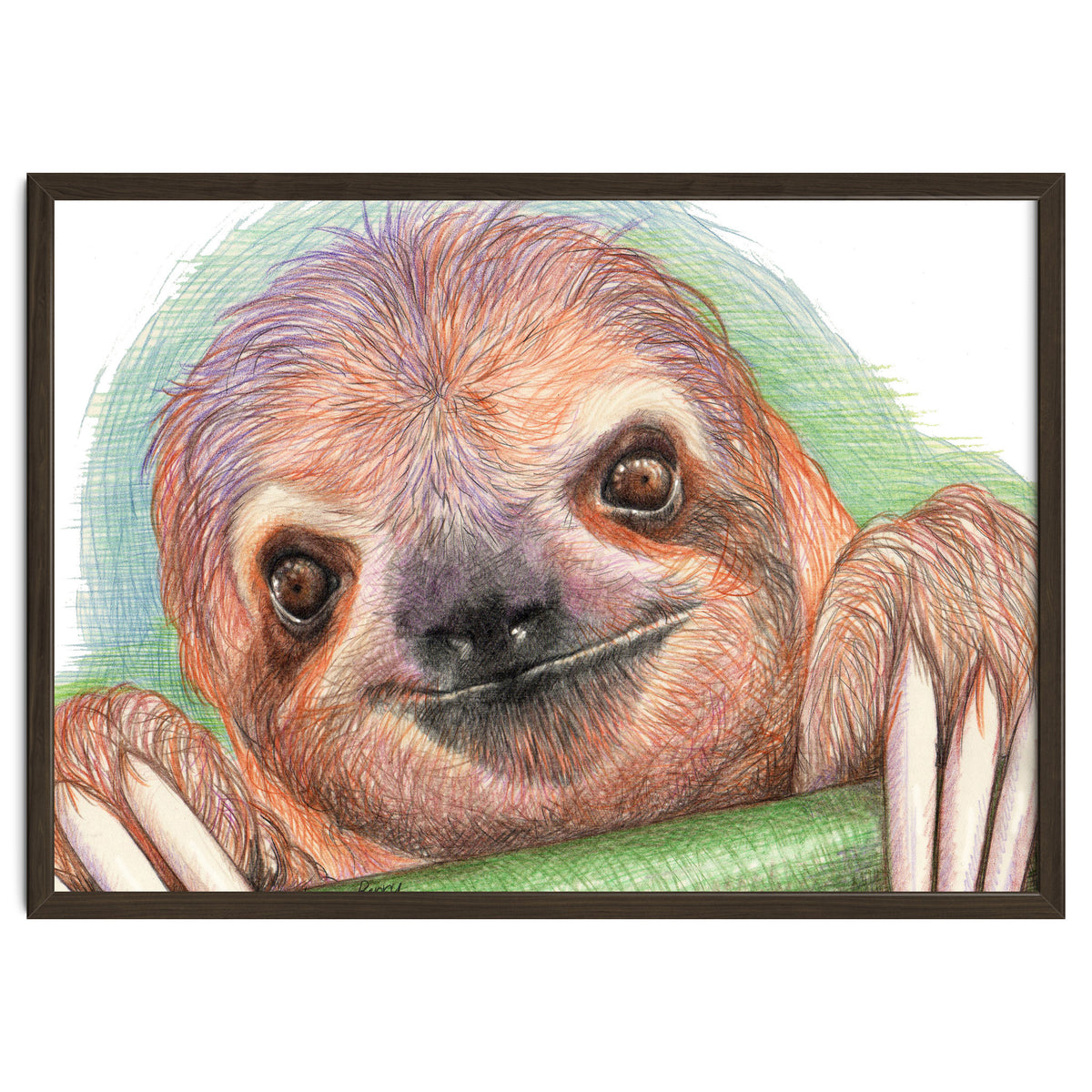 Smiling Sloth