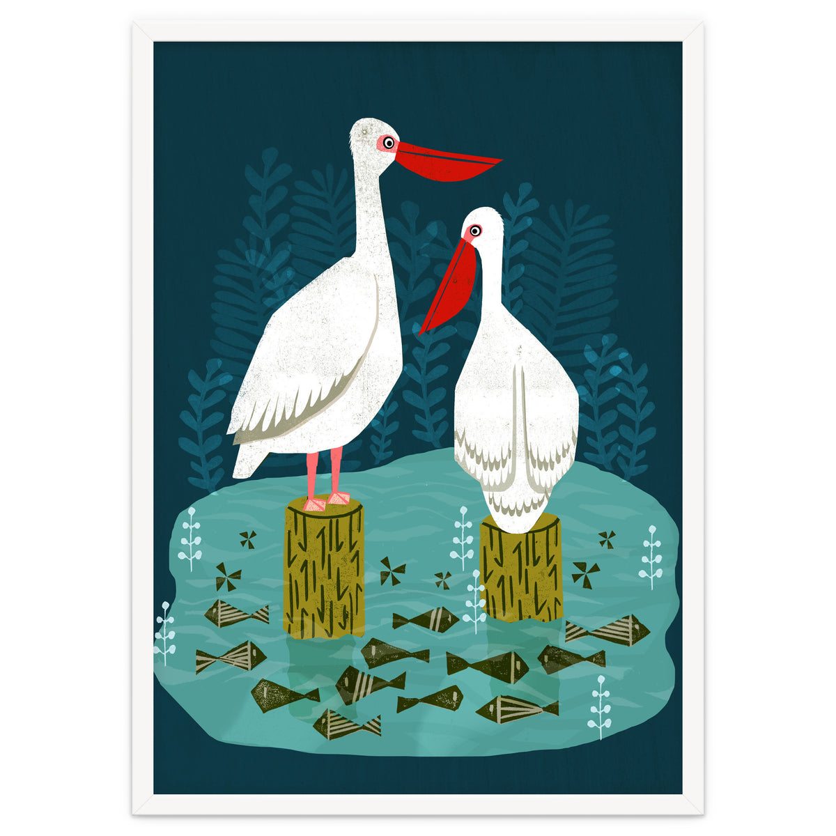 Pelicans