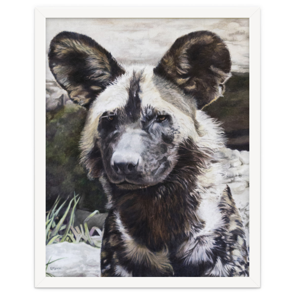 African Painted Dog II