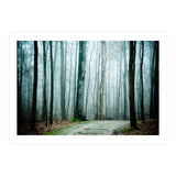 Gather Up Your Dreams (Print Only) thumbnail