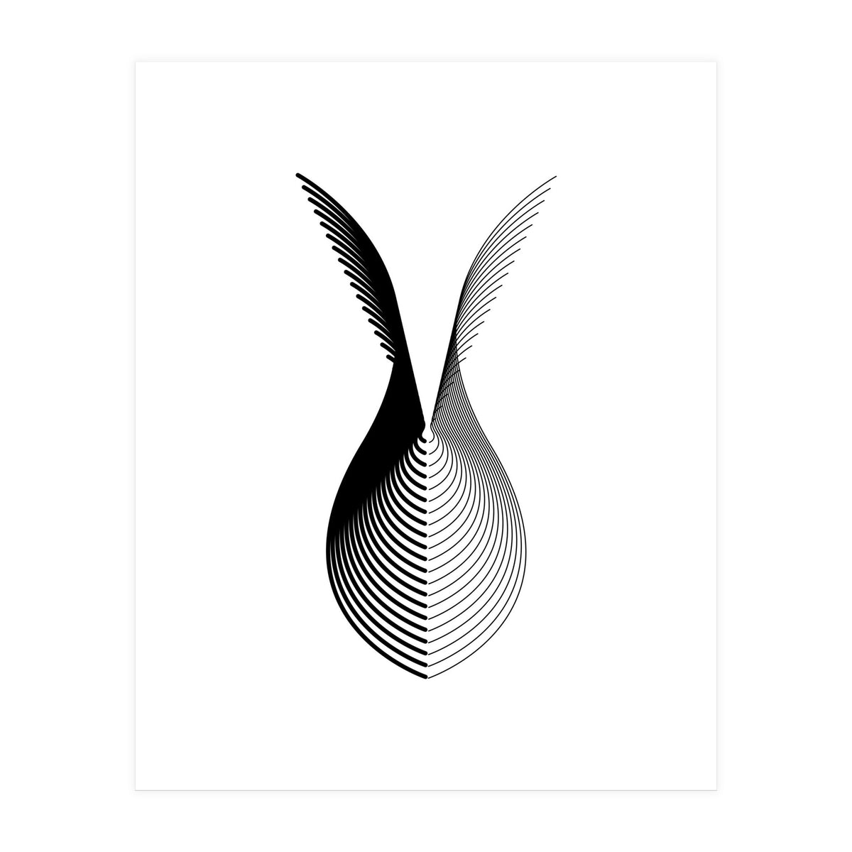 Wings_White (Print Only)