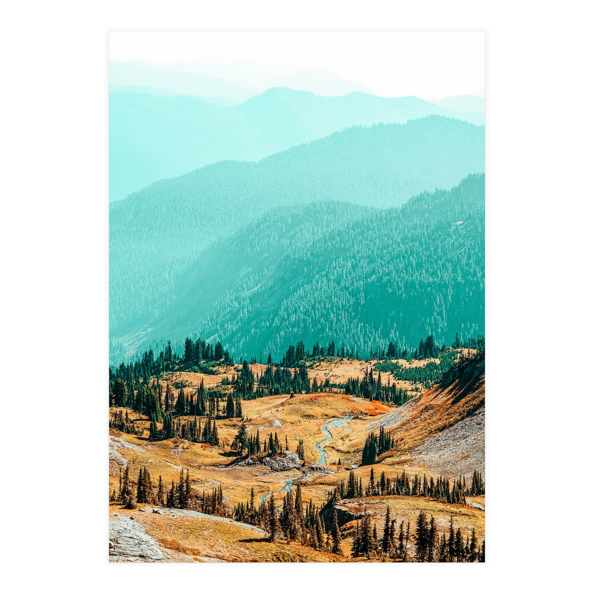 Delight Ii (Print Only)