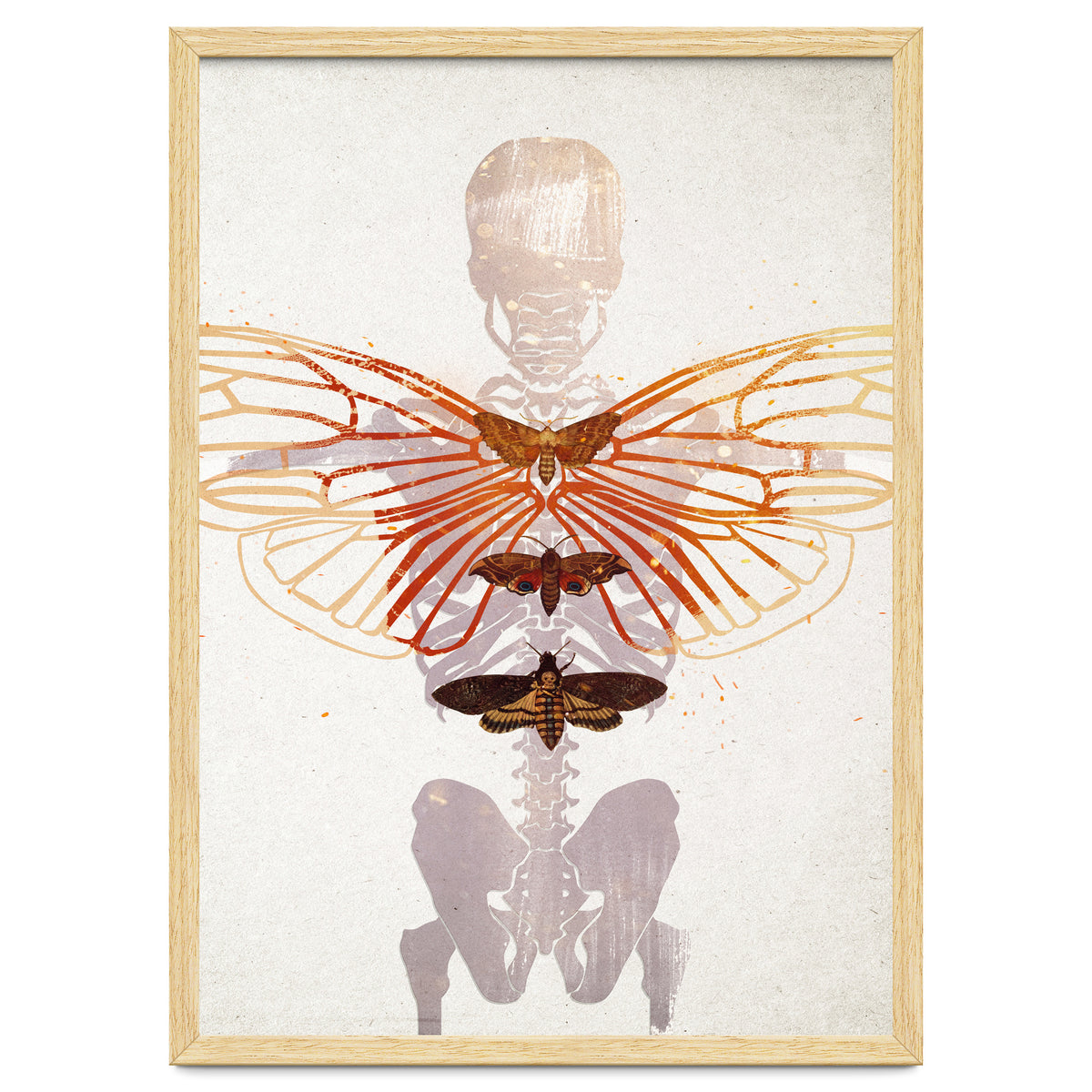 Ikarus - Like a Moth to the Flame