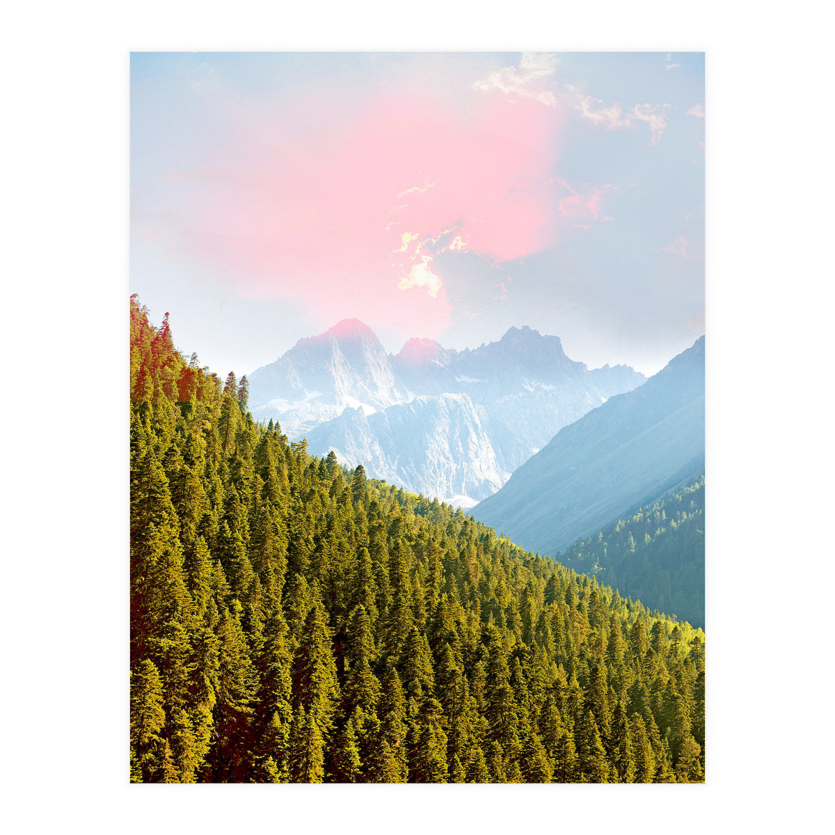 Evergreen (Print Only)