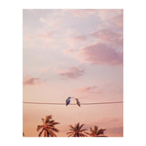 Hummingbirds In Love (Print Only) thumbnail