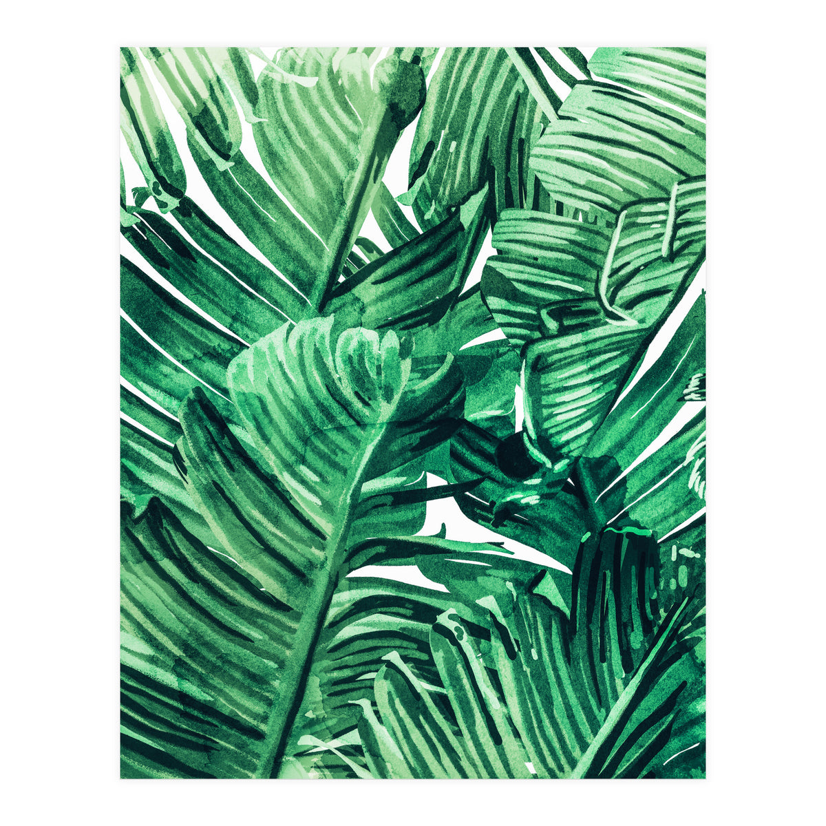 Tropical State of Mind | Watercolor Palm Banana Leaves Painting | Botanical Jungle Bohemian Plants (Print Only)
