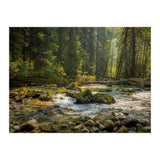 Cascade River (Print Only) thumbnail