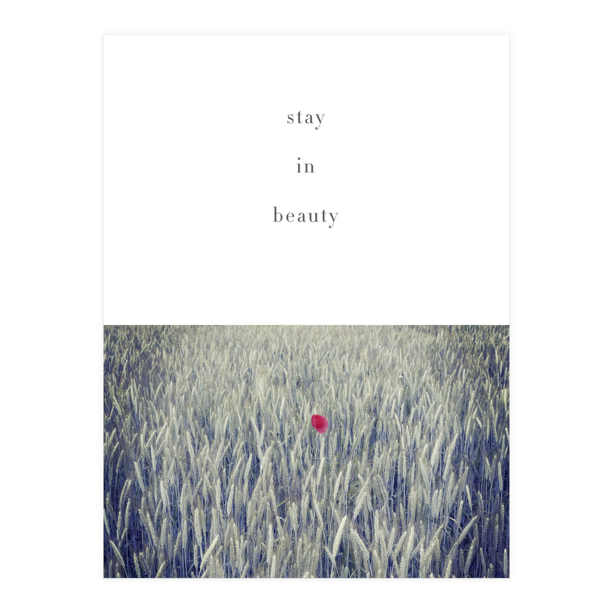 stay in nature (Print Only)