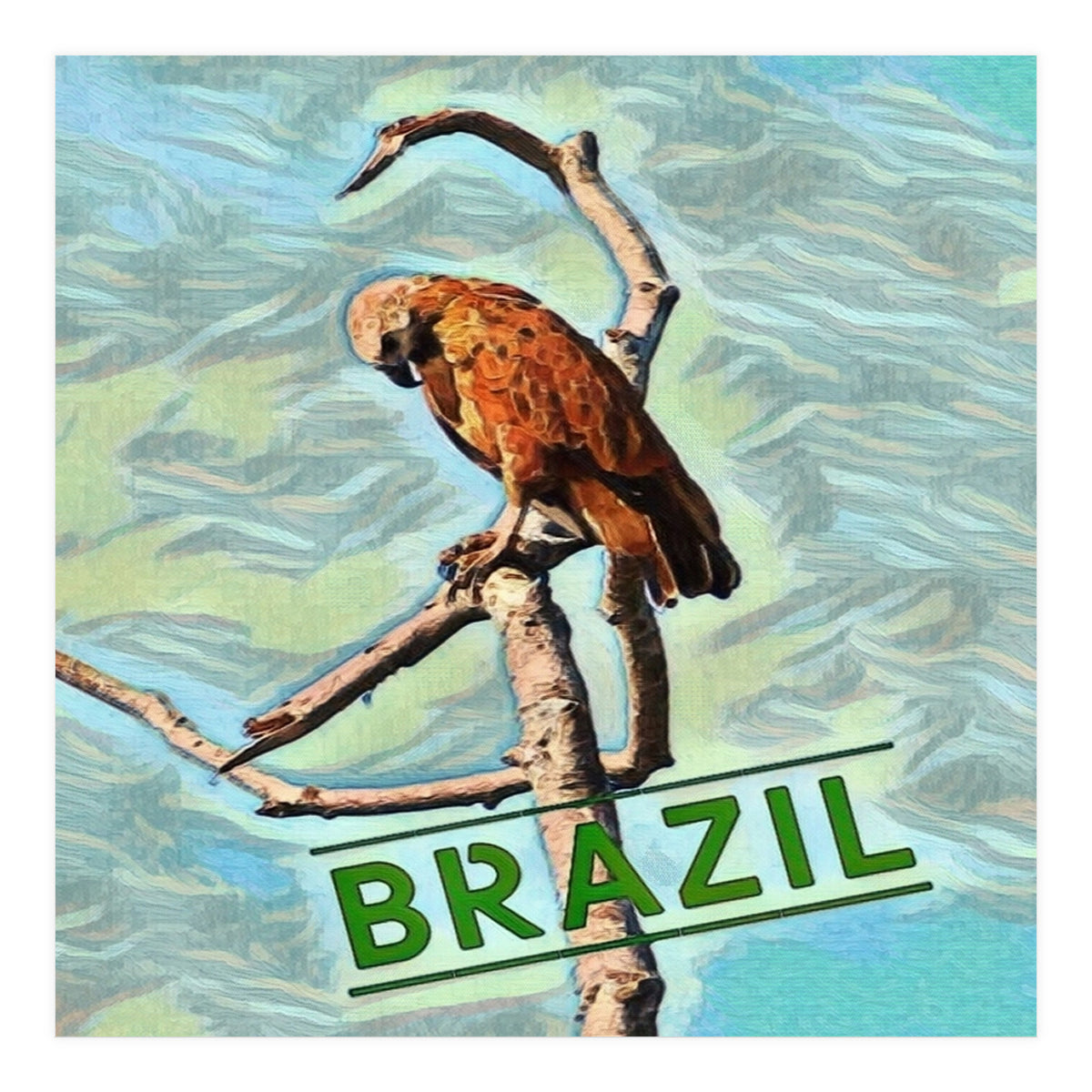 Brazilian resting Eagle (Print Only)