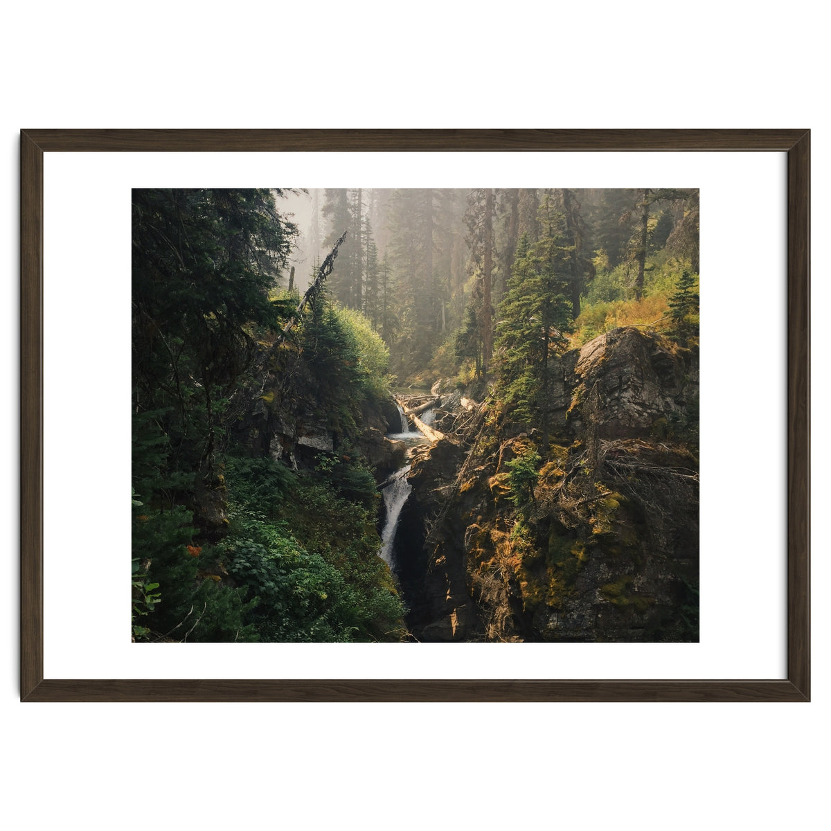 Glacier National Park I