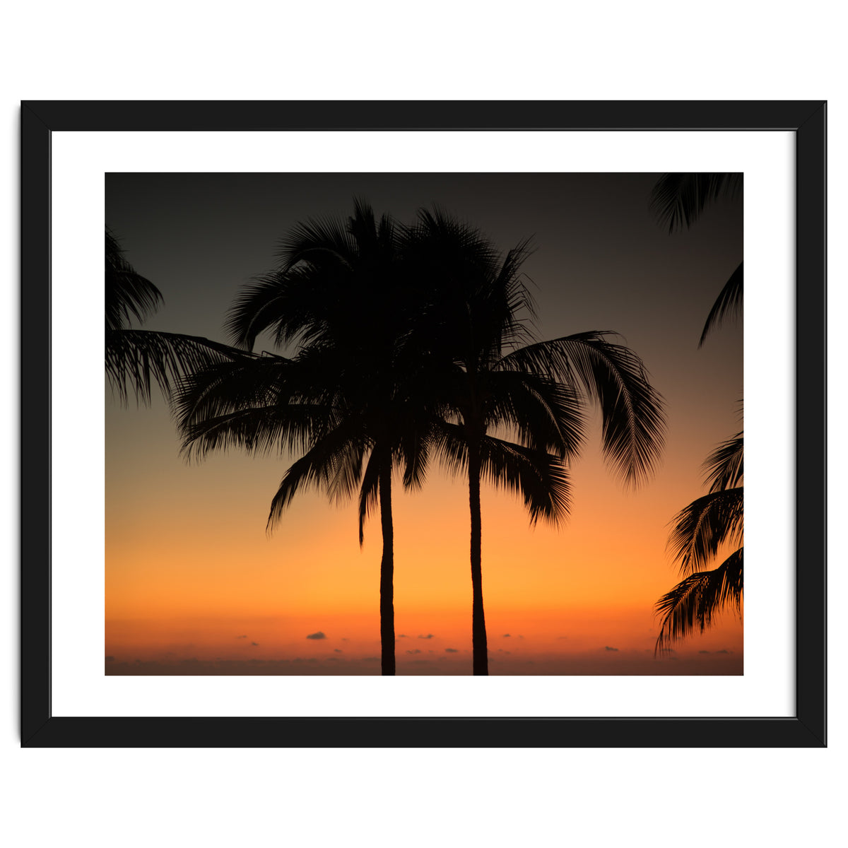 Mexico, November nights