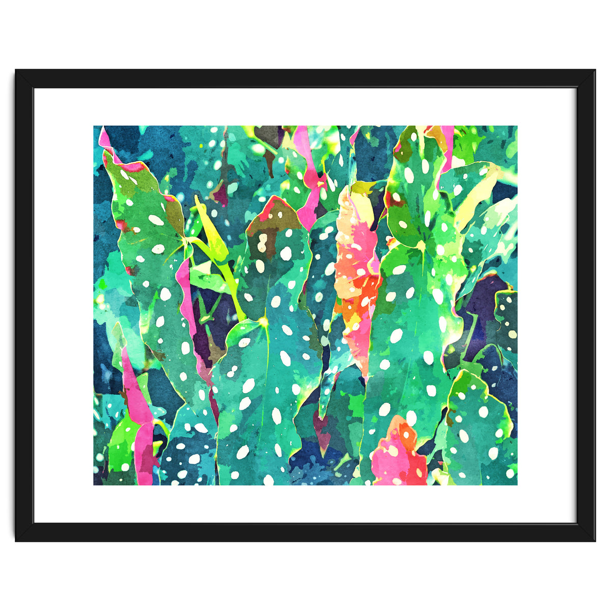 The Polka Dots Plant