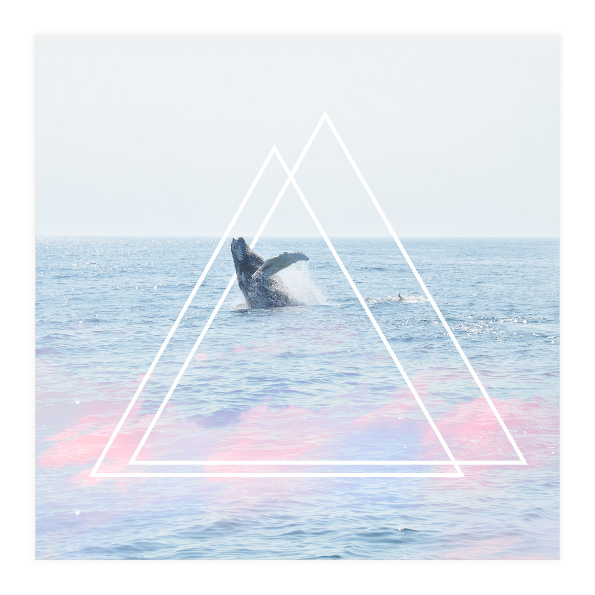 Whale of a Time (Print Only)