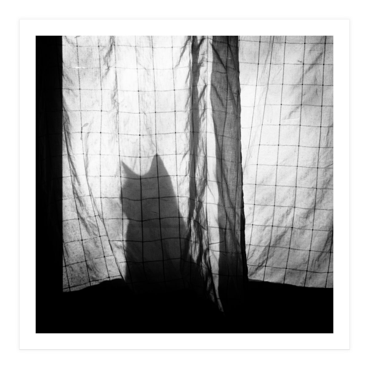 Mr. Wallace (Print Only)