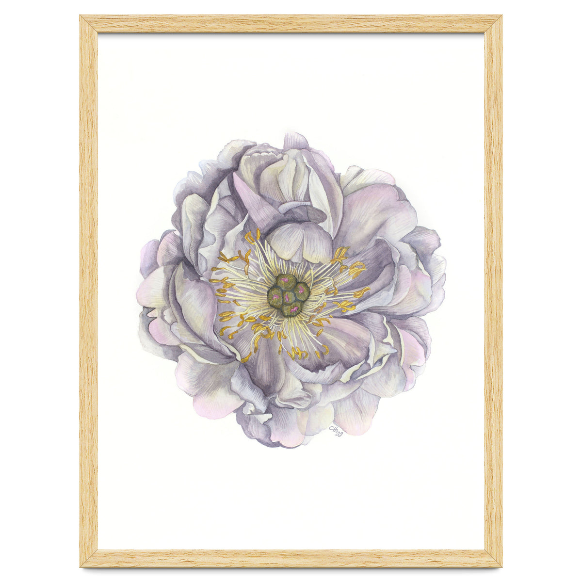 A Peony In Grey Std