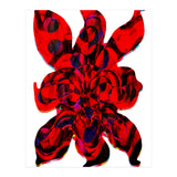 Pop Abstract 2023 90 Copia (Print Only) thumbnail